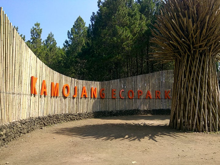 Wisata Alam Hits di Garut! Kamojang Ecopark Tawarkan Camping + Cafe Estetik