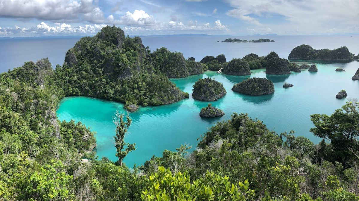 6 Destinasi Wajib di Raja Ampat: Surga Tropis yang Bikin Jatuh Cinta